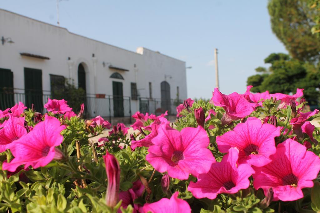 B&B Masseria Cappotto Laterza Exterior foto